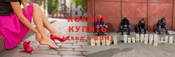 тгк Богданович