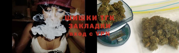 тгк Богданович
