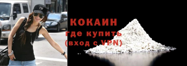 гидра Богородск