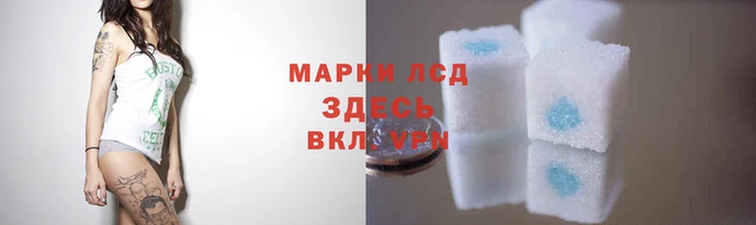 мяу мяу мука Богородицк