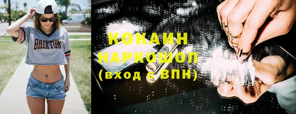 гидра Богородск