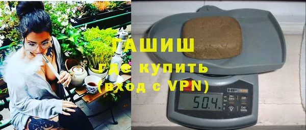 гидра Богородск