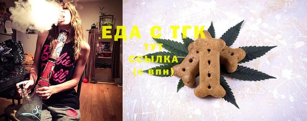 гидра Богородск